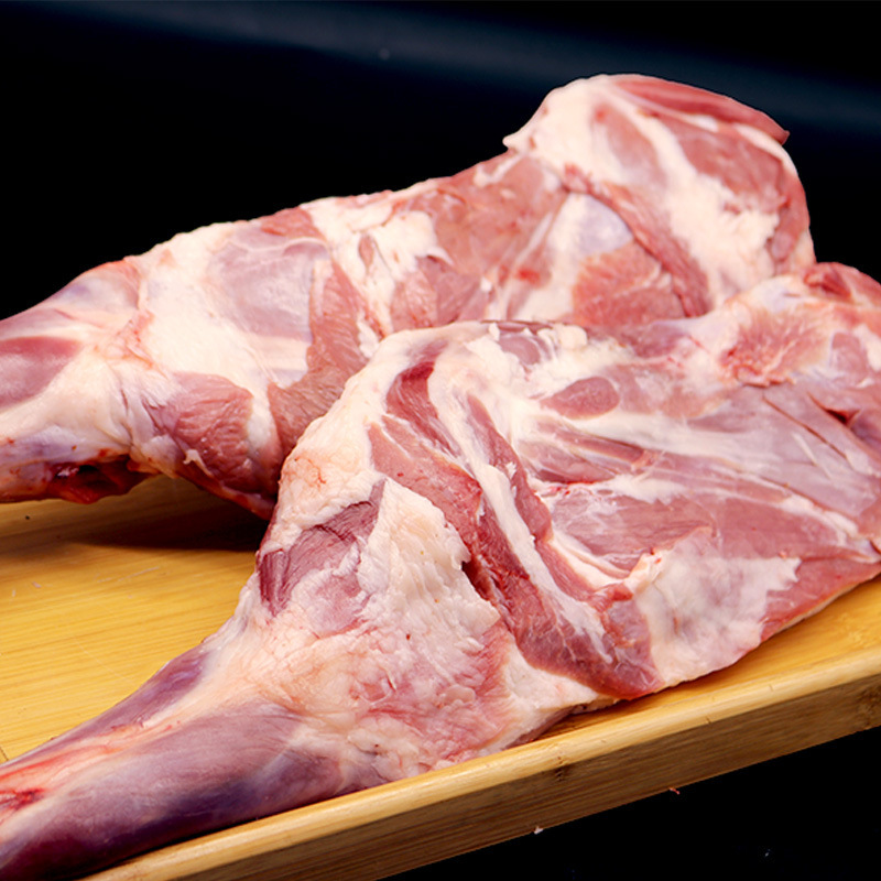 Mongols with their bones and legs in their home with fresh, frozen lamb ribs from roasted stew.