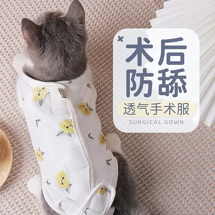 猫手术服母猫绝育衣服断奶服四脚猫咪衣服术后防护透气猫咪绝育服