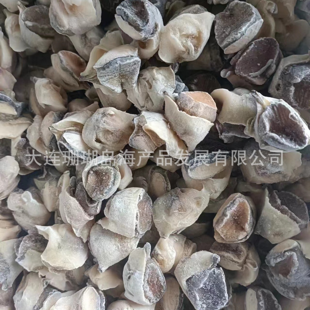 Thịt ốc, thịt đóng băng, ốc sên, vỏ ốc vít.