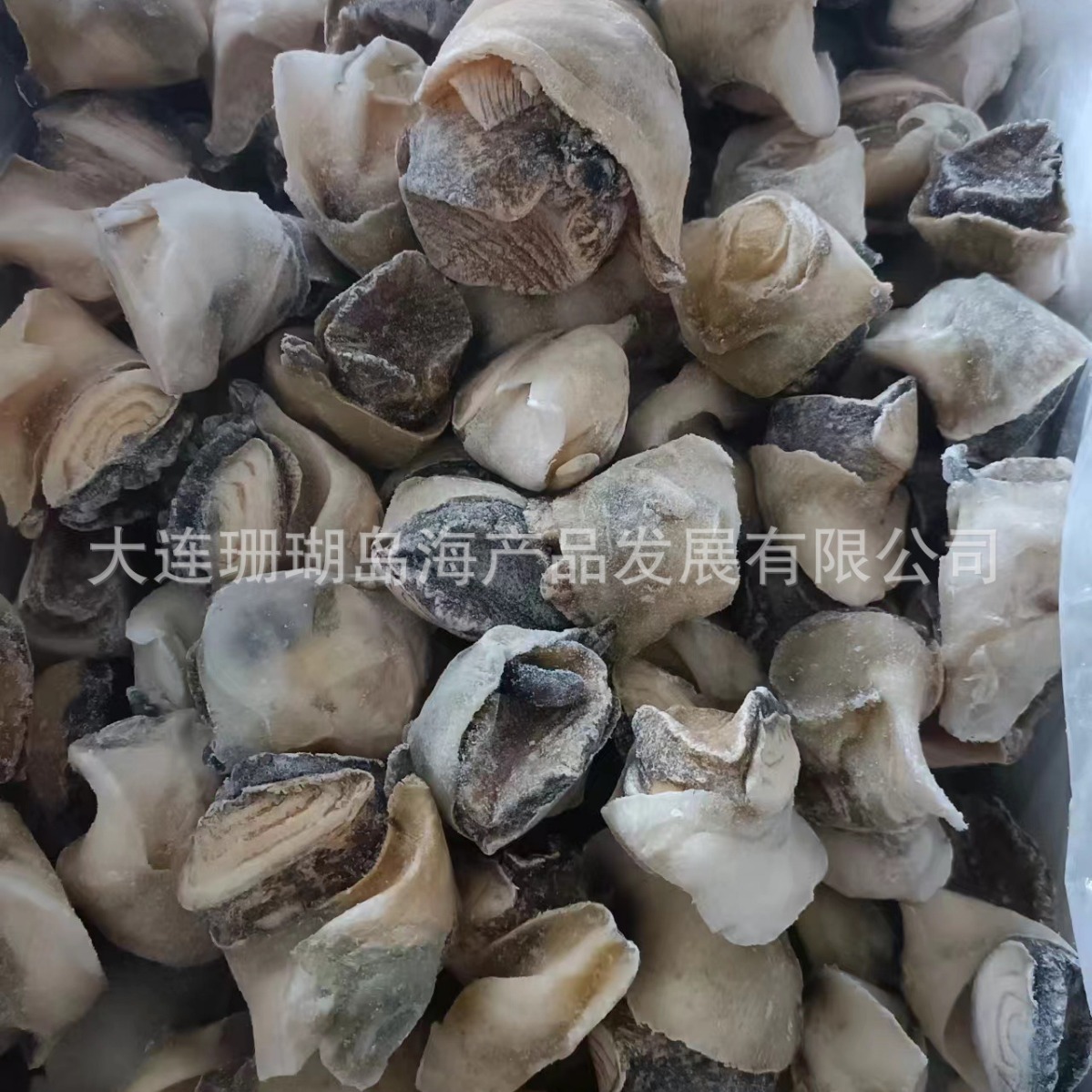 Thịt ốc, thịt đóng băng, ốc sên, vỏ ốc vít.
