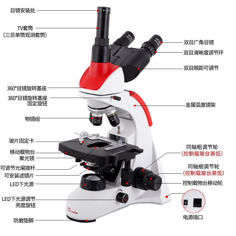 Highest number of students in biooptic microscope science, 10-2000 T.