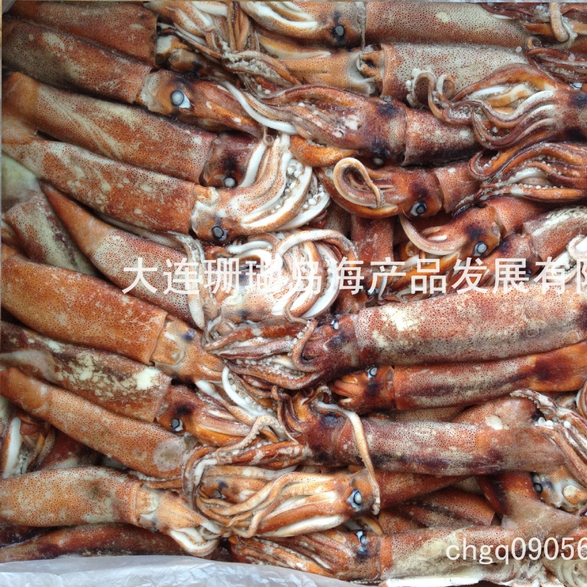 Những đứa trẻ, những đứa bé bị đóng băng.