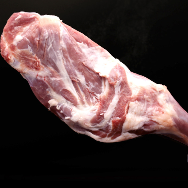 Mongols with their bones and legs in their home with fresh, frozen lamb ribs from roasted stew.