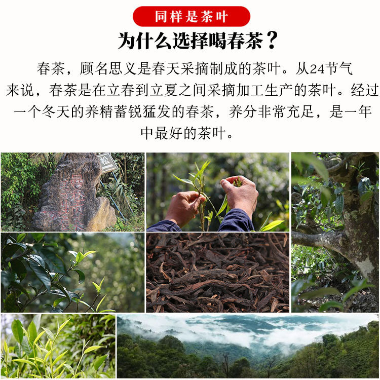 The Lucifer Tea Company has been distributing the 2013 Yunnan Manson tree purifier Pummi tea, sweet and sweet.