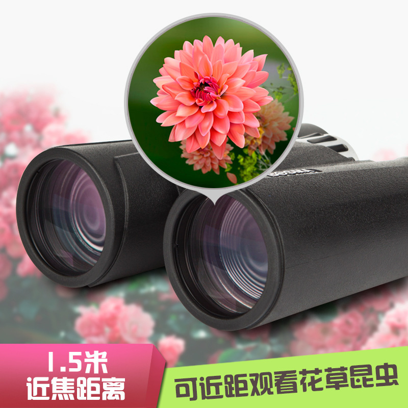 A 2-generation binoculars 8/10x42 high-high luminous nitrophoto night vision.