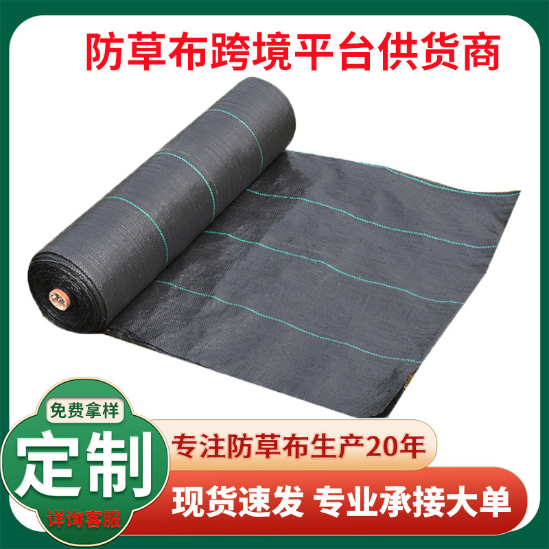 Tuỳ biến của một nhà máy trồng trọt có trồng cỏ 90g bảo vệ chống lại chế độ nông nghiệp lão hóa với nông nghiệp trồng đồng cỏ phủ màu đen