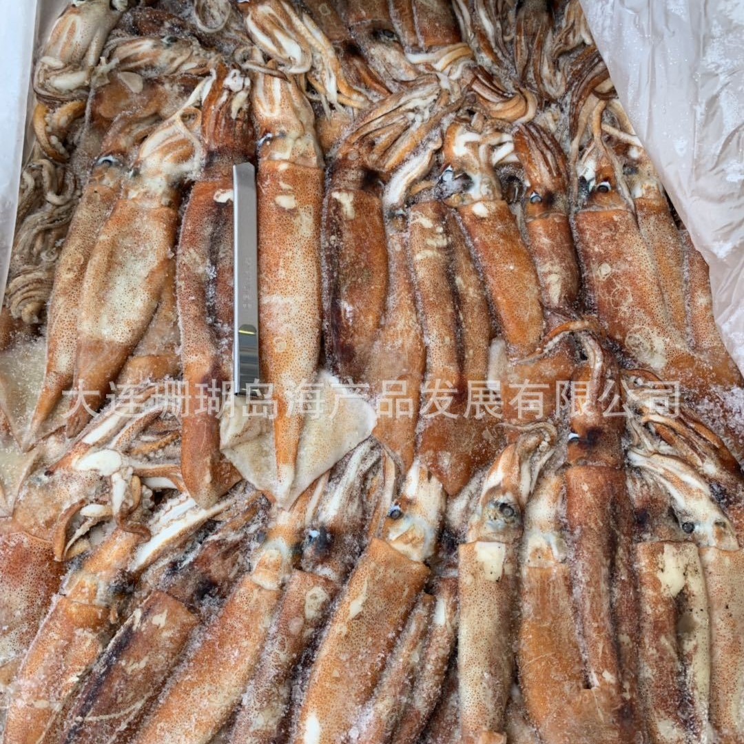 Những đứa trẻ, những đứa bé bị đóng băng.