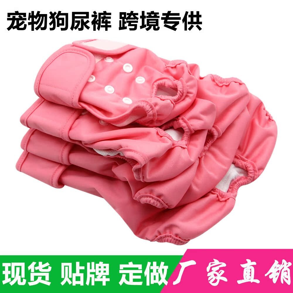 Giấy tờ P.P.P.P., khăn tắm của dì chó, và quần của Teddy hết rồi.