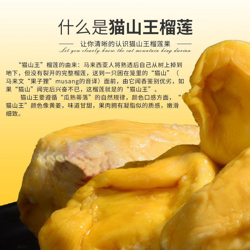 Malley D197 Hộp trứng chiên Cat Hills với trái cây, 400g/box với nhân.