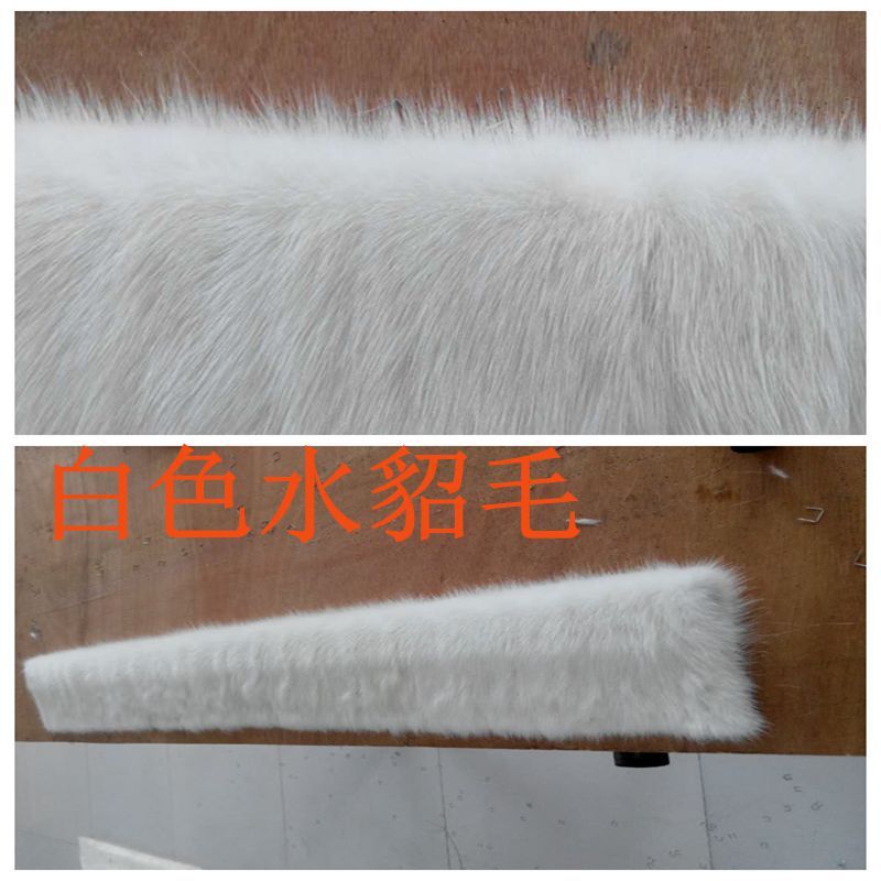 Đàn mink quốc gia đủ rộng 16 CM để trở thành bộ trang phục của người dẫn đầu tóc.
