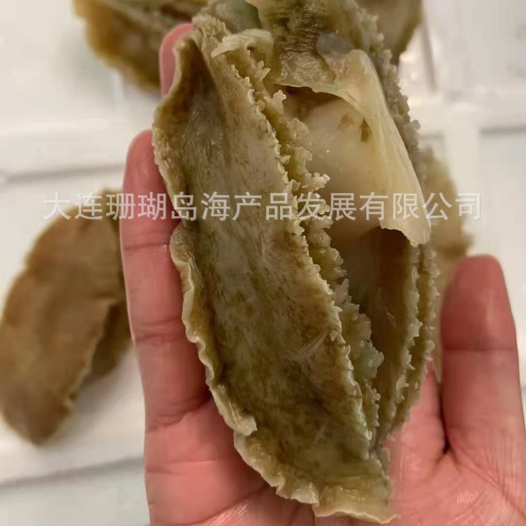 鲍鱼肉、野生鲍鱼肉