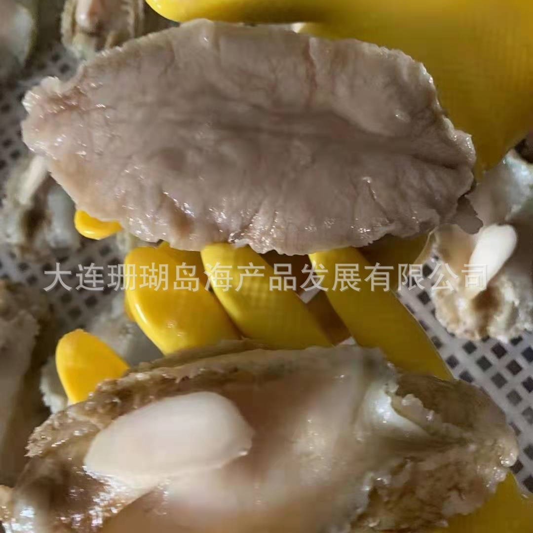 Abarone, bào ngư hoang dã.