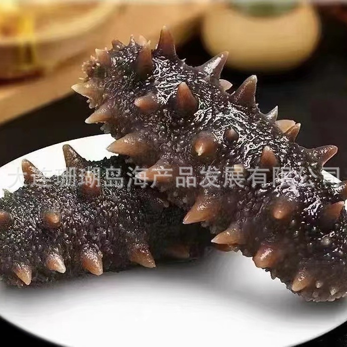 Hải sâm, Tần Lương, hải sâm Dalian, Tần Lương.