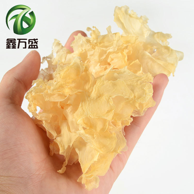 500 g of fungus to be distributed for white flowers and white flowers and white wood,