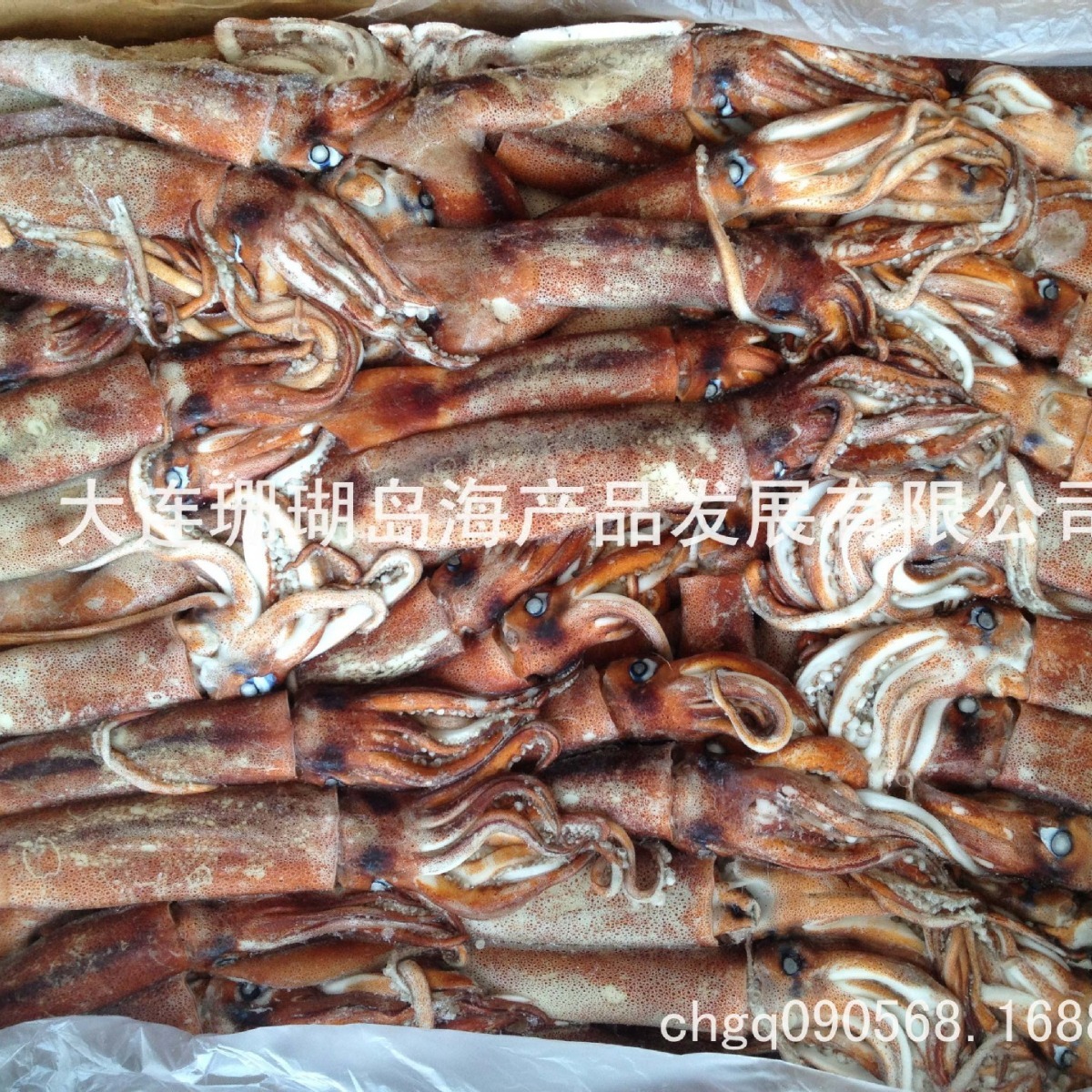 Những đứa trẻ, những đứa bé bị đóng băng.