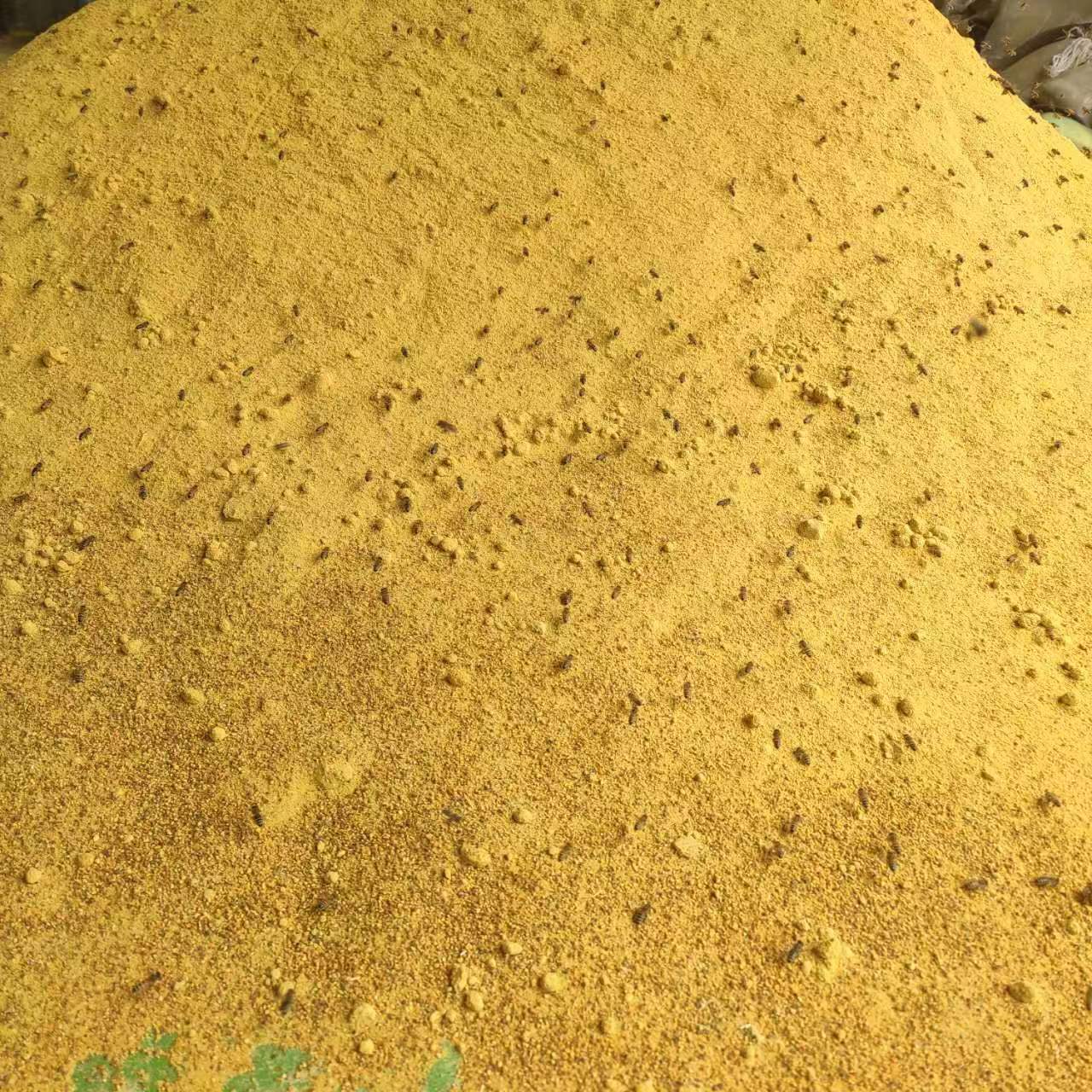 Flour forage, bee flour for bee pollen.