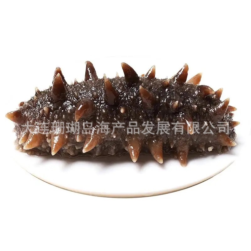 Hải sâm, Tần Lương, hải sâm Dalian, Tần Lương.