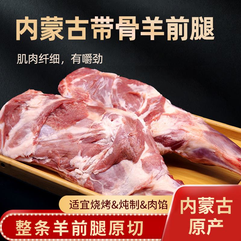 Người Mông Cổ với xương và chân ở trong nhà với xương sườn dê nước mới vừa mới đóng băng từ món thịt hầm quay.