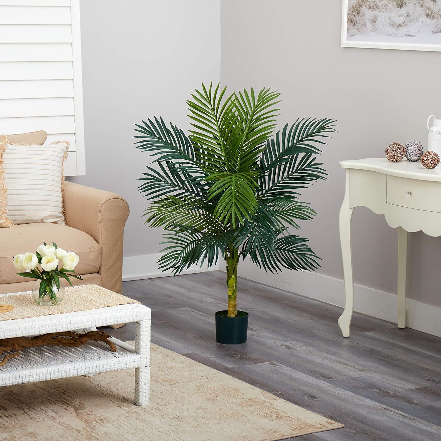 The Omega Palm Basin, the Amazon Green Basin living room decorated.