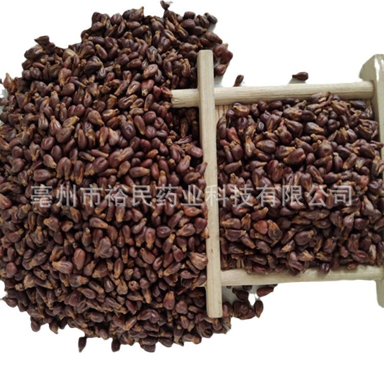 Wholesale supply of Xinjiang grape seeds, grapes, large amounts of grape seeds, grape seeds, ripe grape seed pillows.