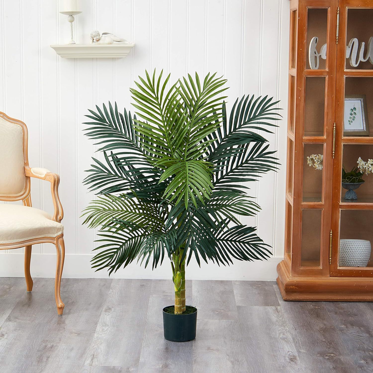 The Omega Palm Basin, the Amazon Green Basin living room decorated.