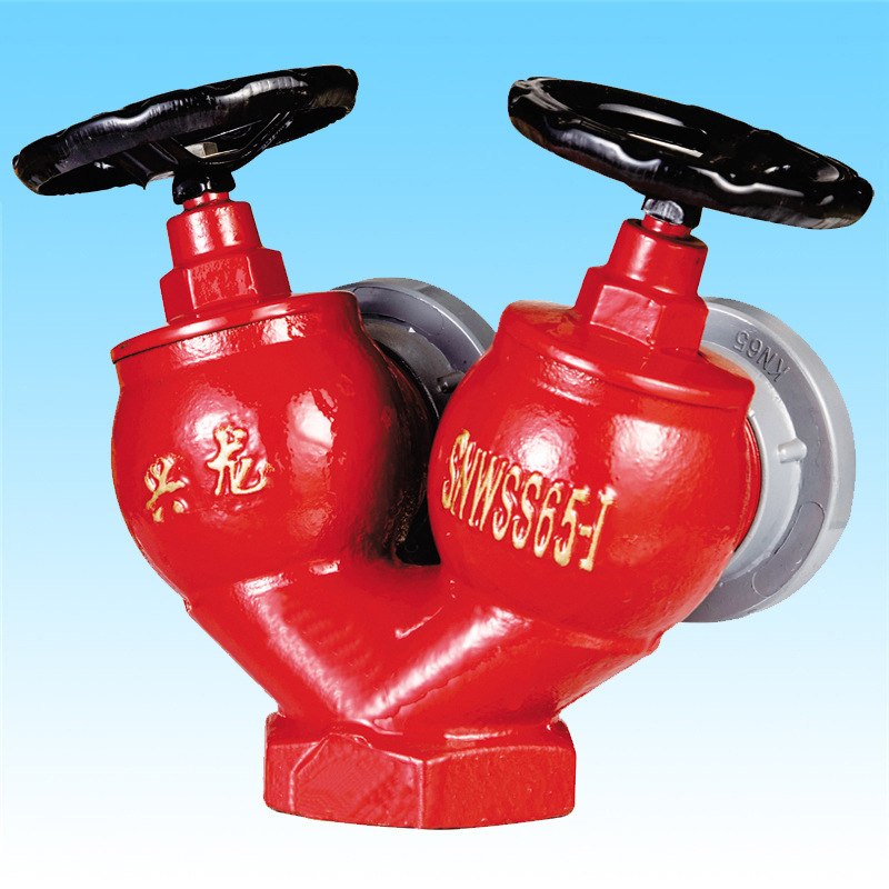 Double-valve double-export indoor deflammation SNSS65 double-export depressure deflammation SNWSS65-I wholesale