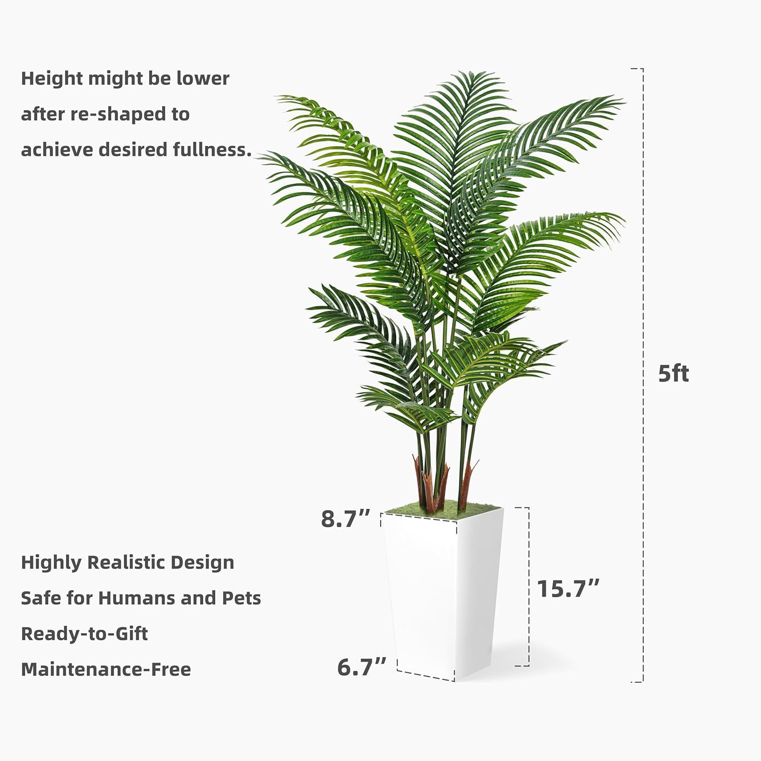 The northern transmutation is a model of a green plant.