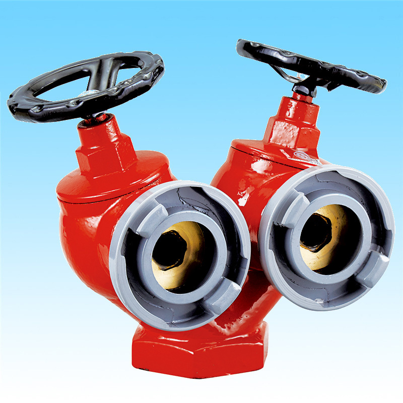 Double-valve double-export indoor deflammation SNSS65 double-export depressure deflammation SNWSS65-I wholesale