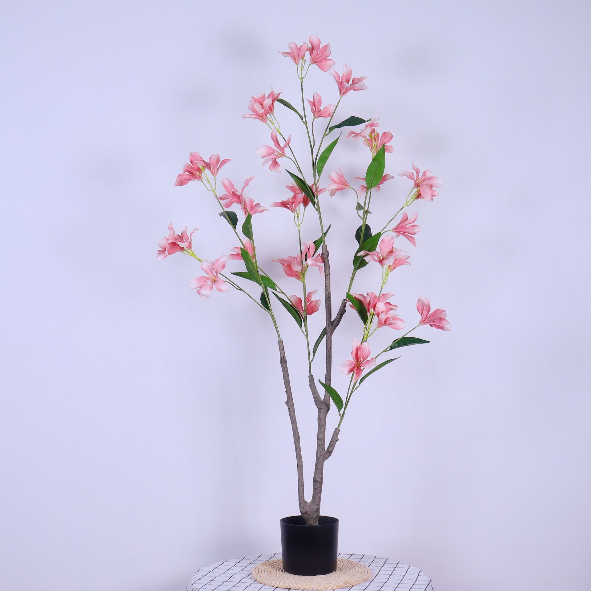 Flaming orchids set up in the mimic decorated living room.