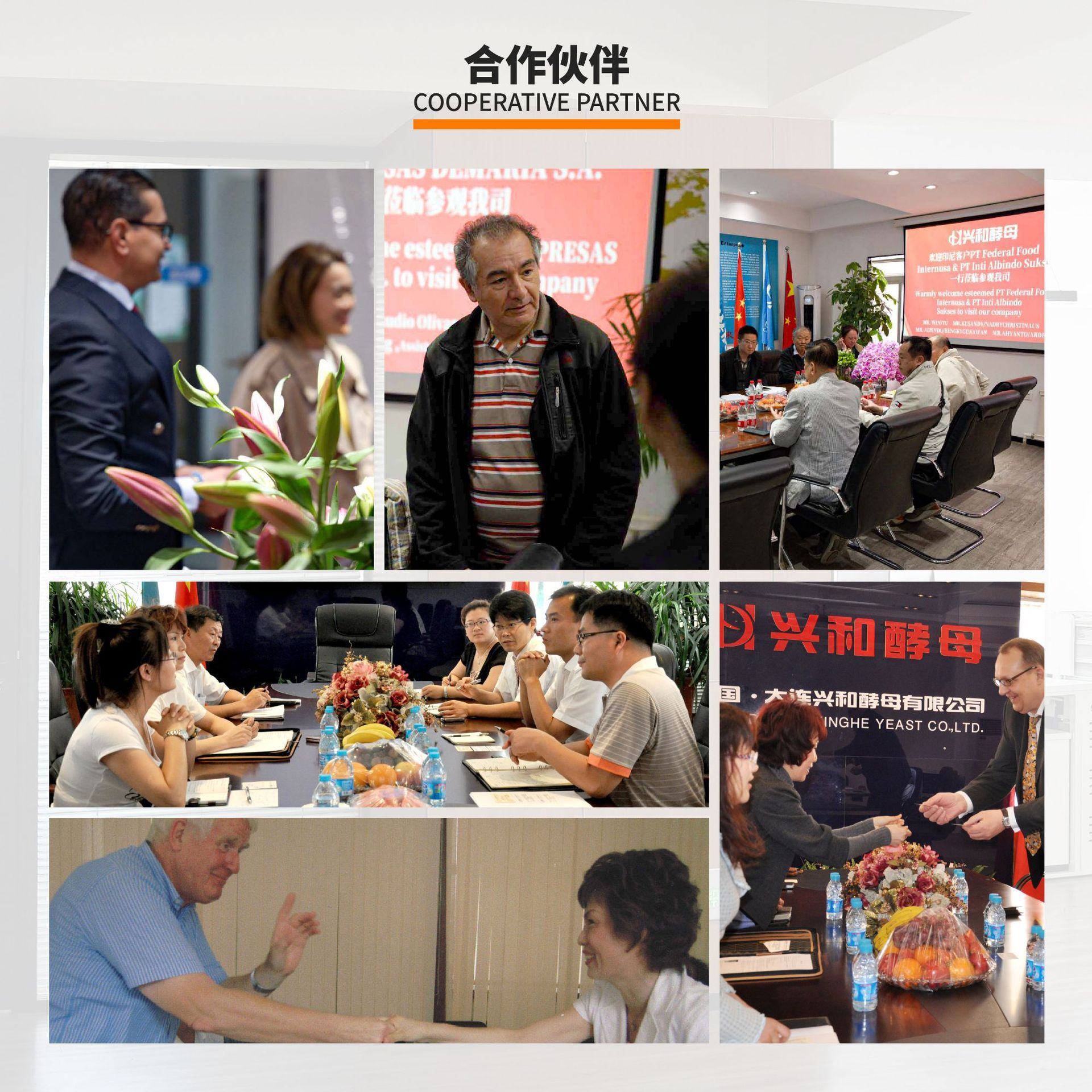 OEM定制饲料酵母 农业水产养殖畜禽动物营养饲料添加 5/20/25公斤