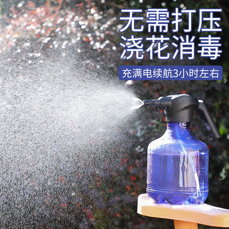 Một cái vòi nước trong vườn điện, một ấm nước với một đĩa hoa trong nước.