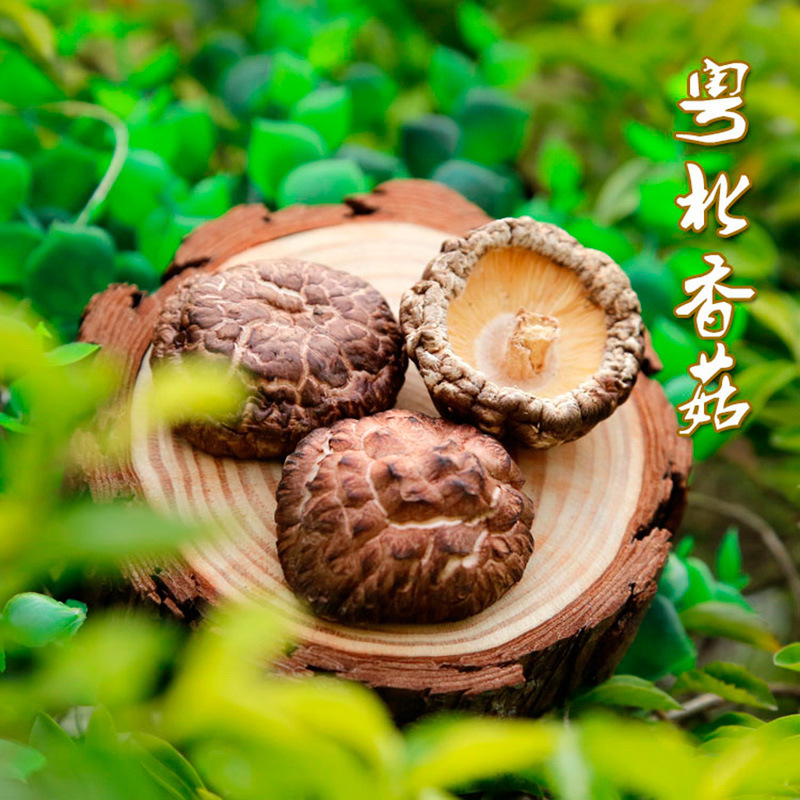 林中宝黑木耳80g+粤北香菇80g礼盒  特产干货过节送礼