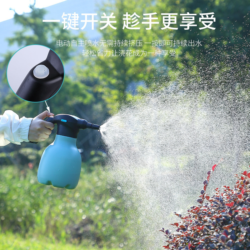 Một cái vòi nước trong vườn điện, một ấm nước với một đĩa hoa trong nước.