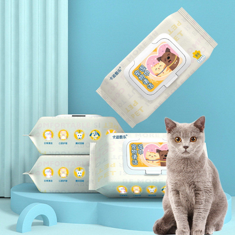Con thú cưng của Myianju ướt khăn tắm, 80 con chó mèo để rửa xác bằng nước mắt.