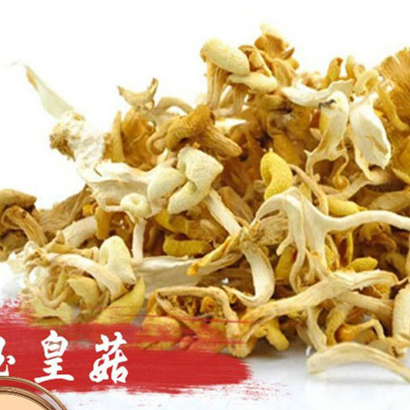 Một ngày mới để sản xuất 150 gram nấm khô trong rừng.