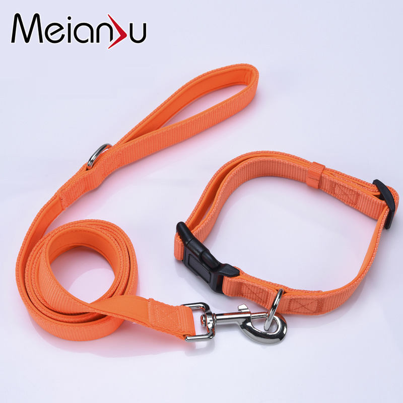 Con chó Meianju kéo sợi dây, và cổ áo bơi nylon ở phía sau ngực.