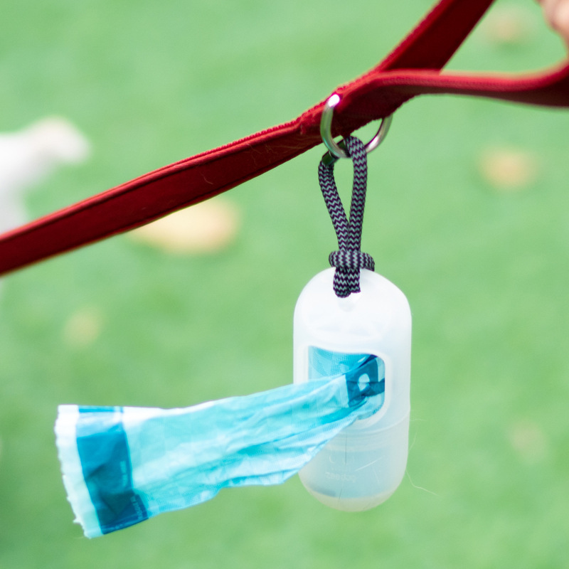 Con chó Meianju kéo sợi dây, và cổ áo bơi nylon ở phía sau ngực.