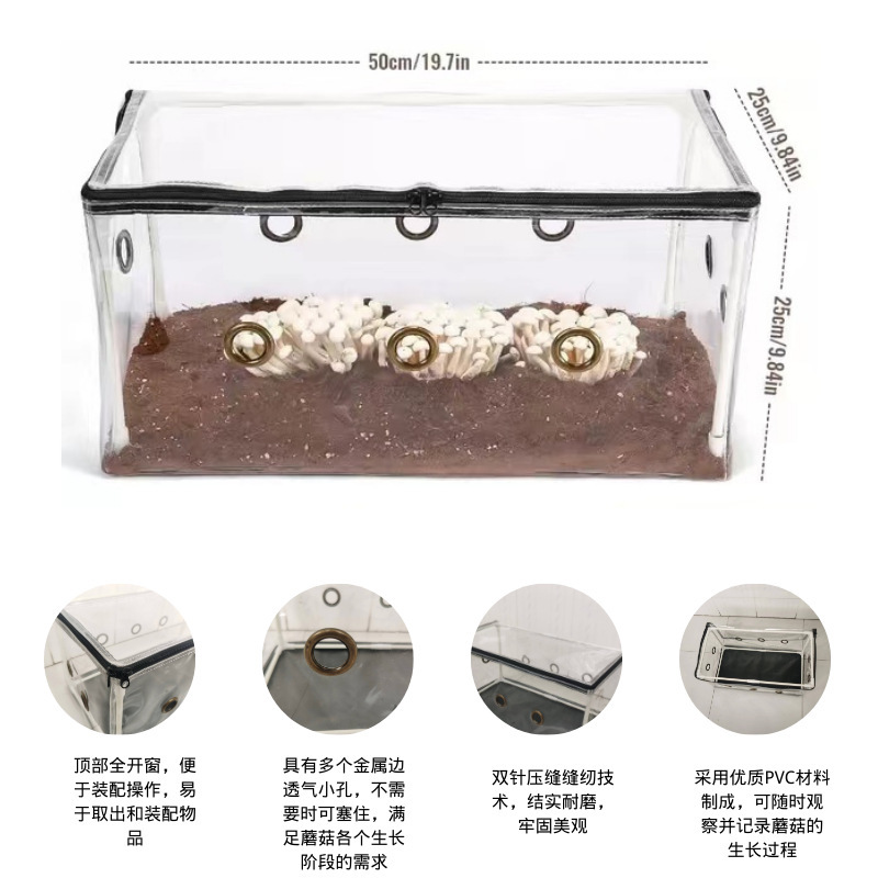 Một nhà kính nấm nhỏ để trồng nấm trong một căn phòng nơi chúng có thể lắp ráp.
