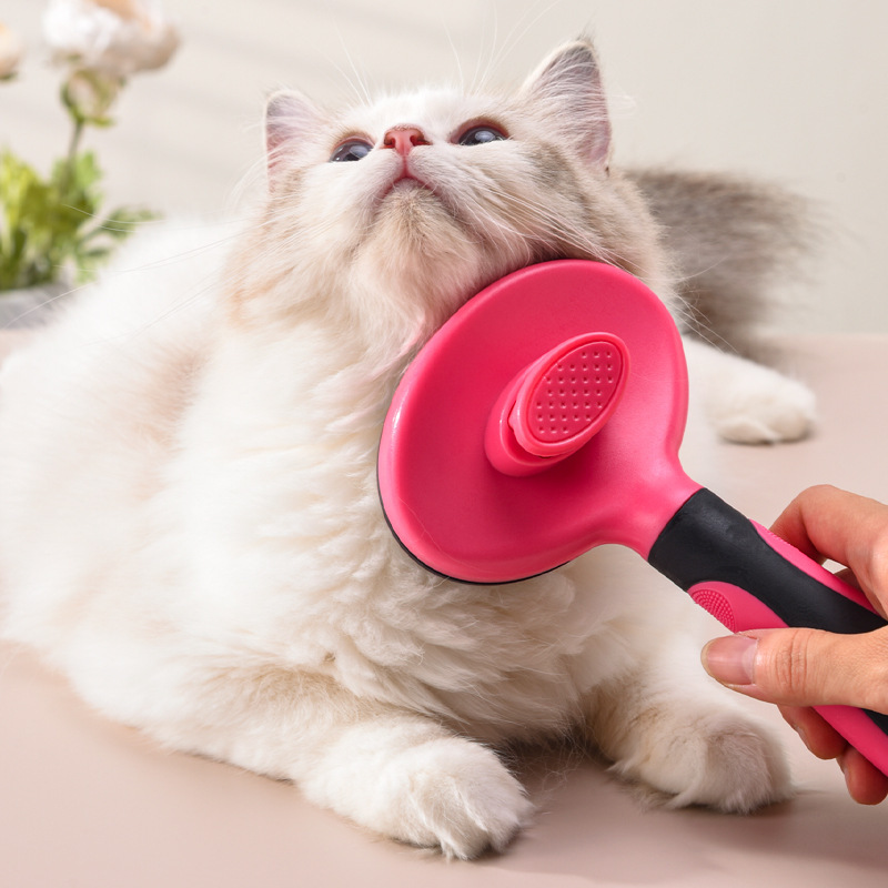Myianju có lược kim hình bầu dục, mát xa sạch sẽ cho nhà tắm.