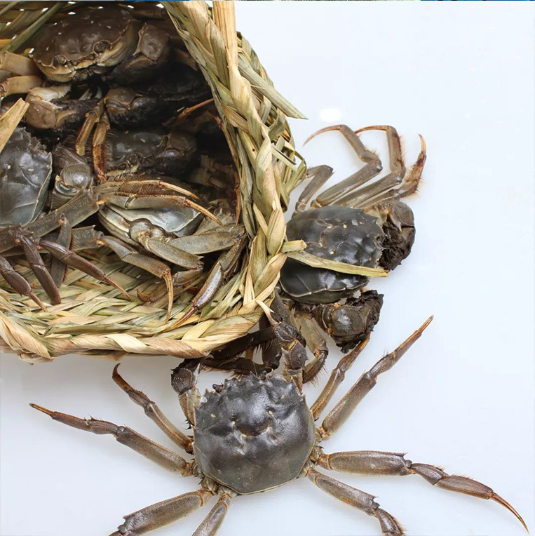 In June, the yellow crabs supply a large amount of the boomerang crabs.