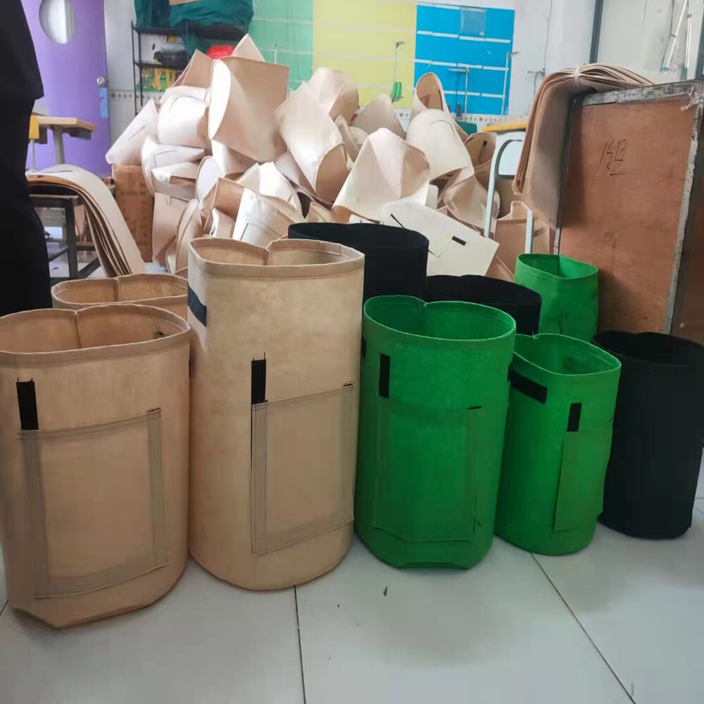Khoai tây mọc khoai tây túi cỏ xanh, túi thực vật, túi thực vật, thực vật