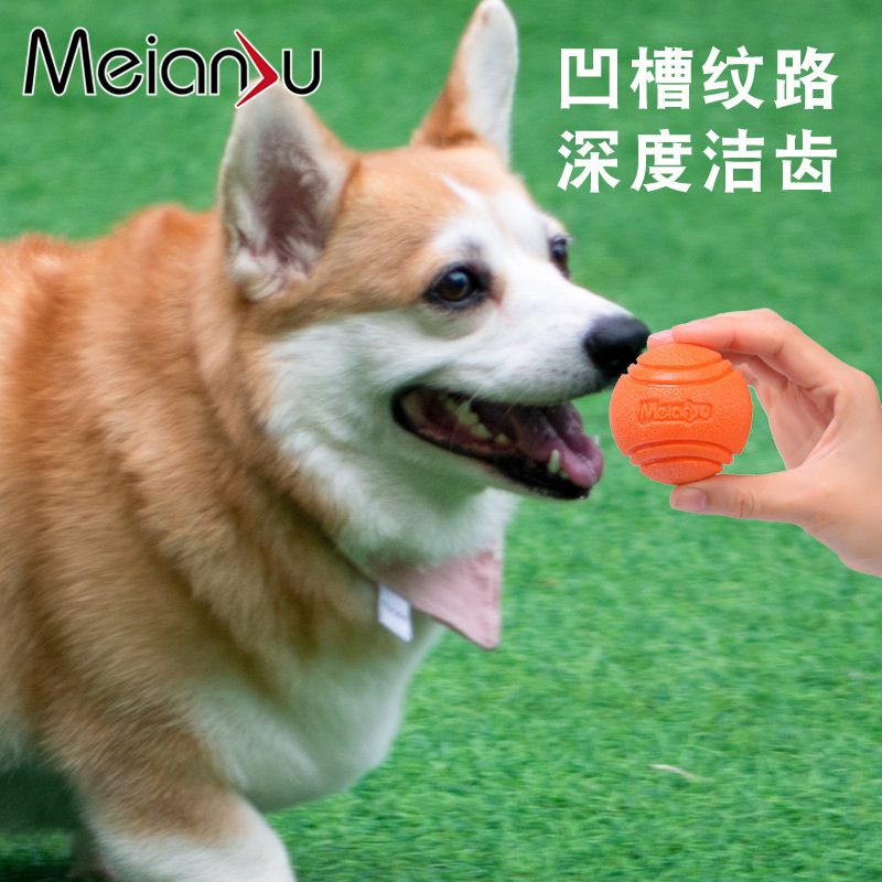 Nhà máy bán "bi" chó và cắn những con chó nhỏ, và con thú nuôi cao su nghiền răng.
