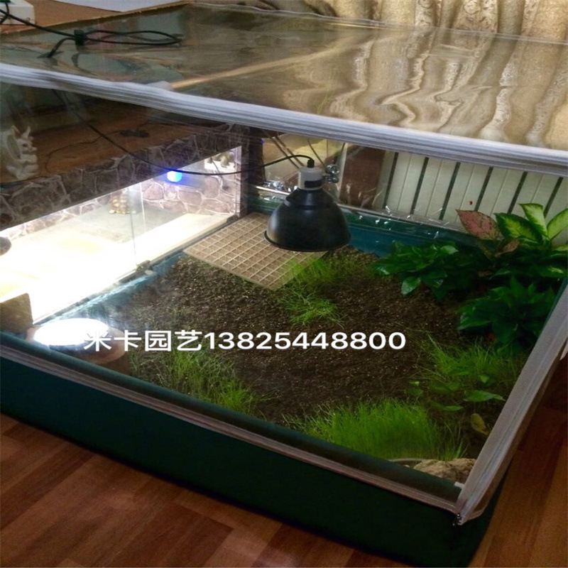 Tùy chỉnh bảo vệ vật nuôi cho rùa mưa ăn bánh ngô cho thú nuôi để bảo vệ cây