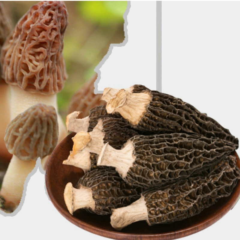 Em bé hút mỡ trong rừng, nấm ăn được, túi vàng 40g, hàng hóa đặc biệt.