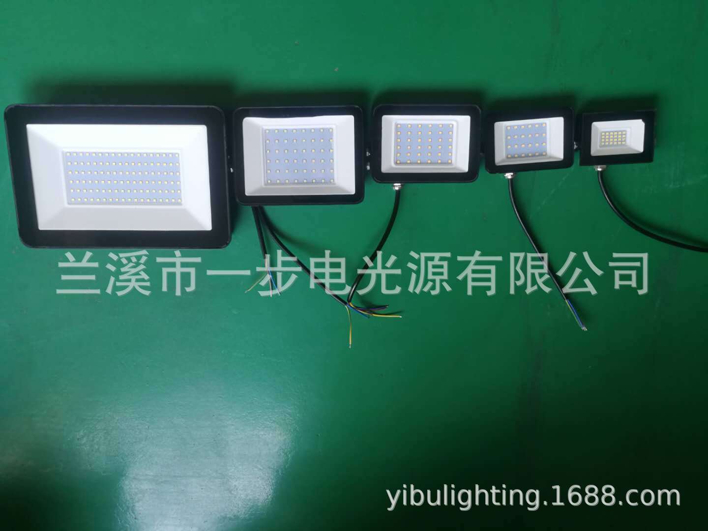 LED-Photo projector -- private model