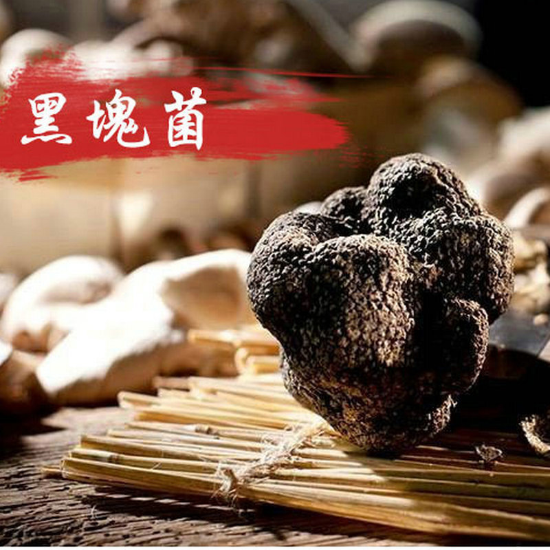 60g áo đen nấm khô, được chọn lọc bằng tay những hàng khô từ phía Bắc.
