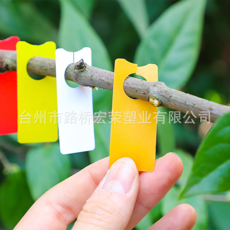 Thiết bị làm vườn có màu sắc.
