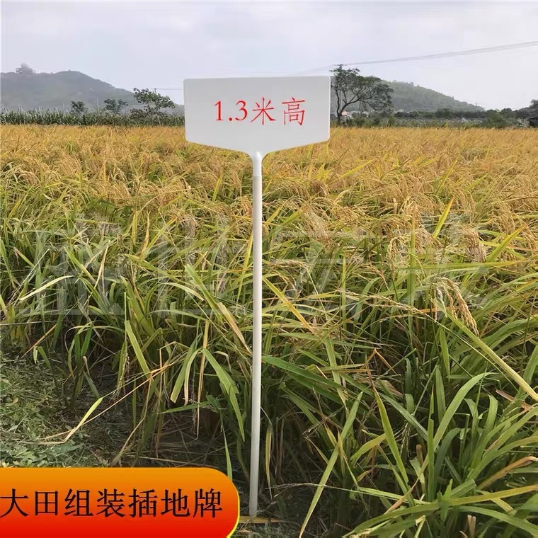 Một dấu hiệu cho nhãn hiệu văn hóa lâu dài và chất dẻo cao cấp cao và cao cấp