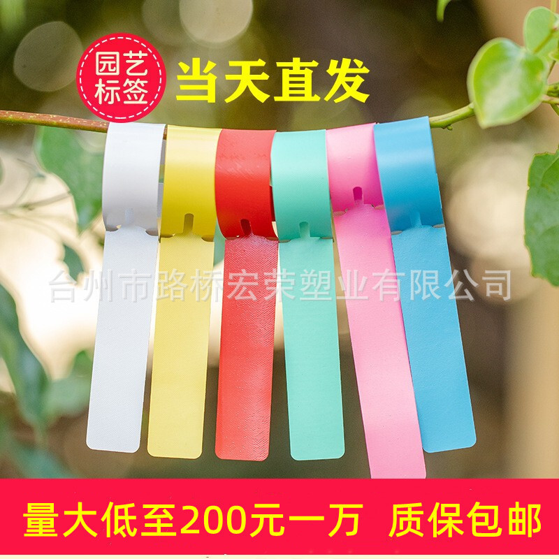 Nhãn cây bằng nhựa PVC chống thấm nước nhãn cây làm vườn nhãn hoa lan bằng nhựa vòng nút thẻ