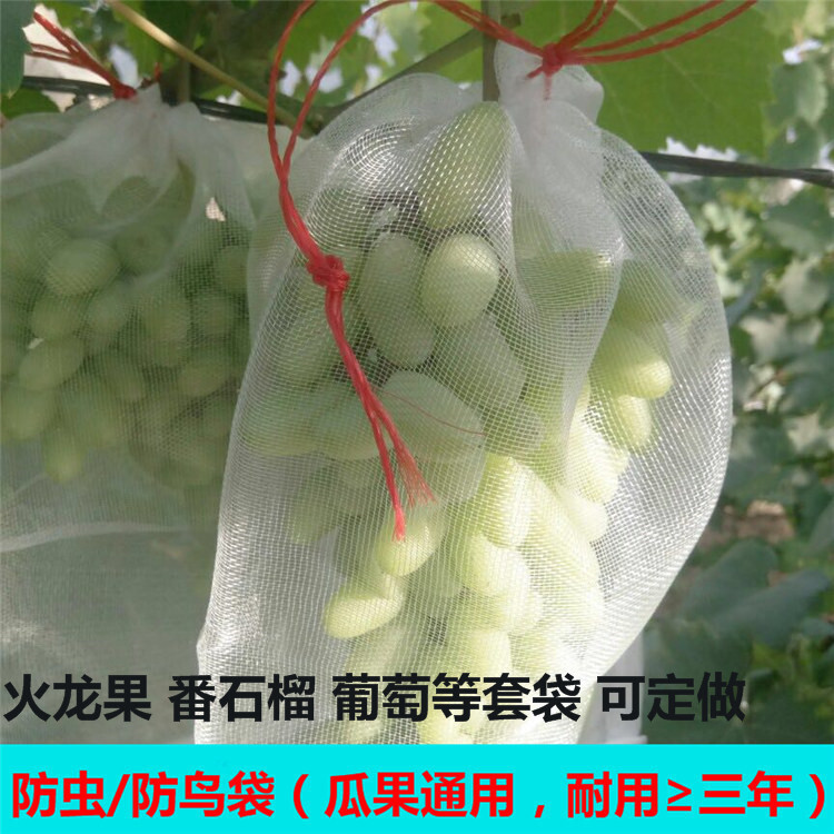 Túi lưới Hồng Yonnilong được bọc bằng một túi trái cây và trái cây và một túi sâu bọ chống chim